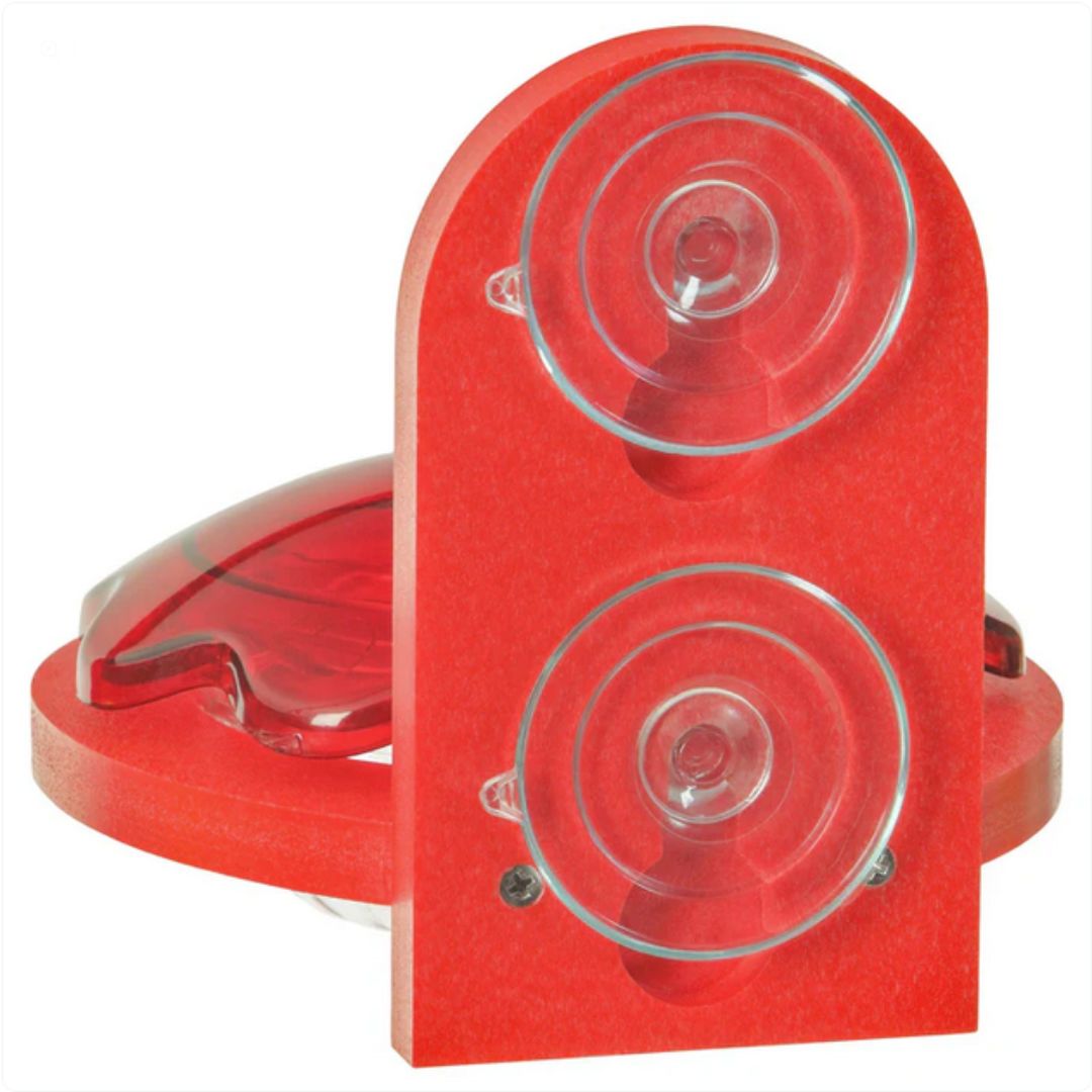 Window Mount Hummingbird Feeder – Birds Choice